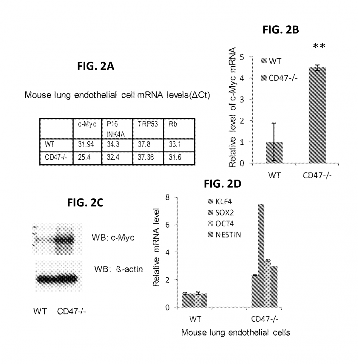 Methods For Generation Of Pluripotent And Multipotent Cells The