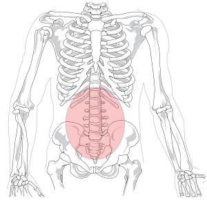 lumbar region