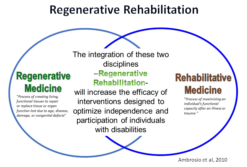 RegenRehab diagram