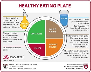 4b harvard healthy plate