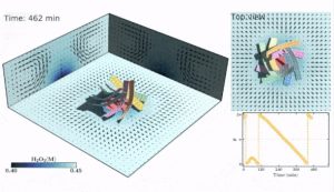 Model of polymer sheets 