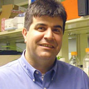 Charles Sfeir, DDS, PhD