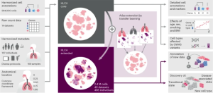 Image: From Nature Medicine. Building and using the HLCA.