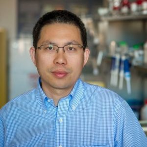 Yi Hong, PhD