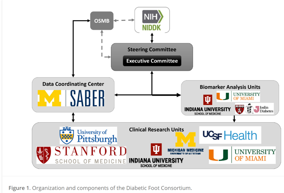 Flow chart of participating institutions in the DFC