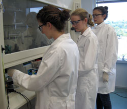 Image of researchers working in a lab