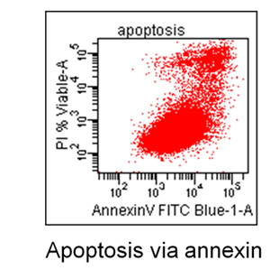 Graph of apopptosis via annexin