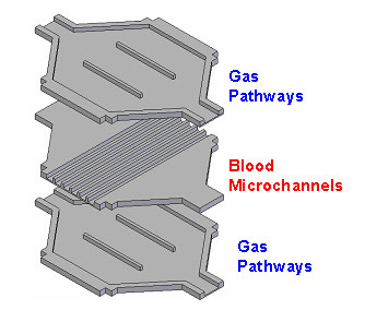 Diagram of Biohybrid Artificial Lung