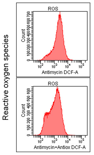 Graph of reactive oxygen species